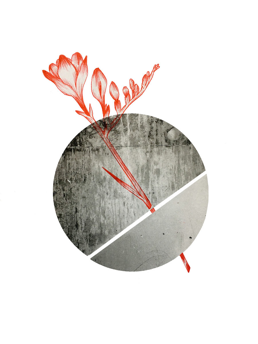 Delicate Drawing Compositions with Flowers-9