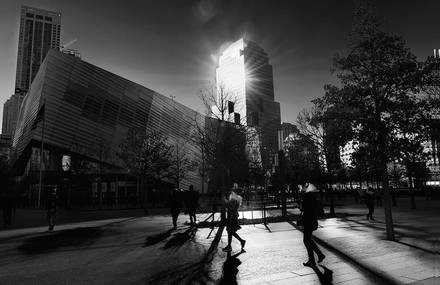 Majestic Black and White Pictures of NYC