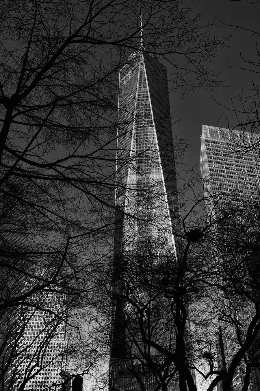 Majestic Black and White Pictures of NYC-6