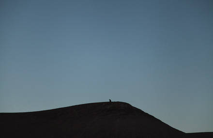 Delighted Pictures of a Moroccan Ride by David Maurel