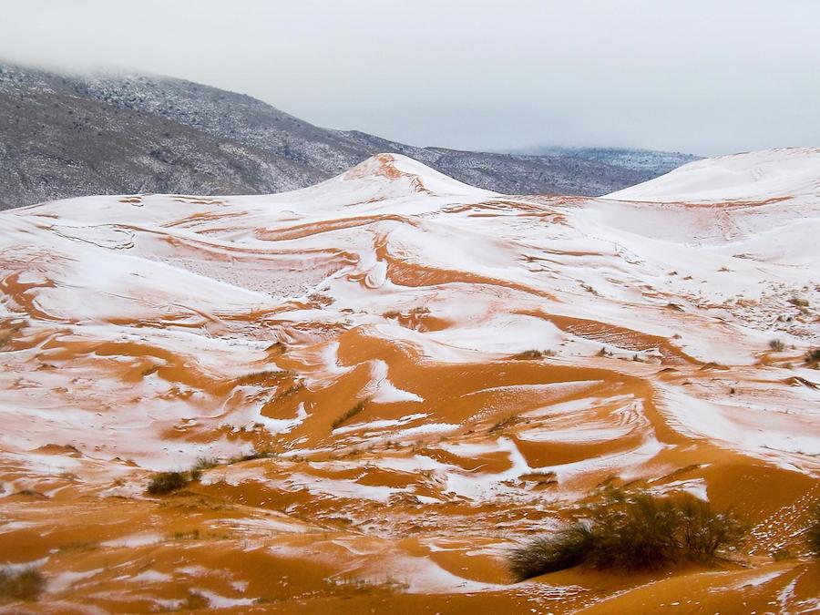 Sahara Desert Covered with Snow For the First Time Since 1979-0