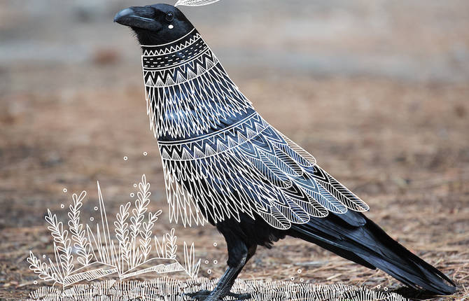 Wild Animals with Funny Drawings of Costumes