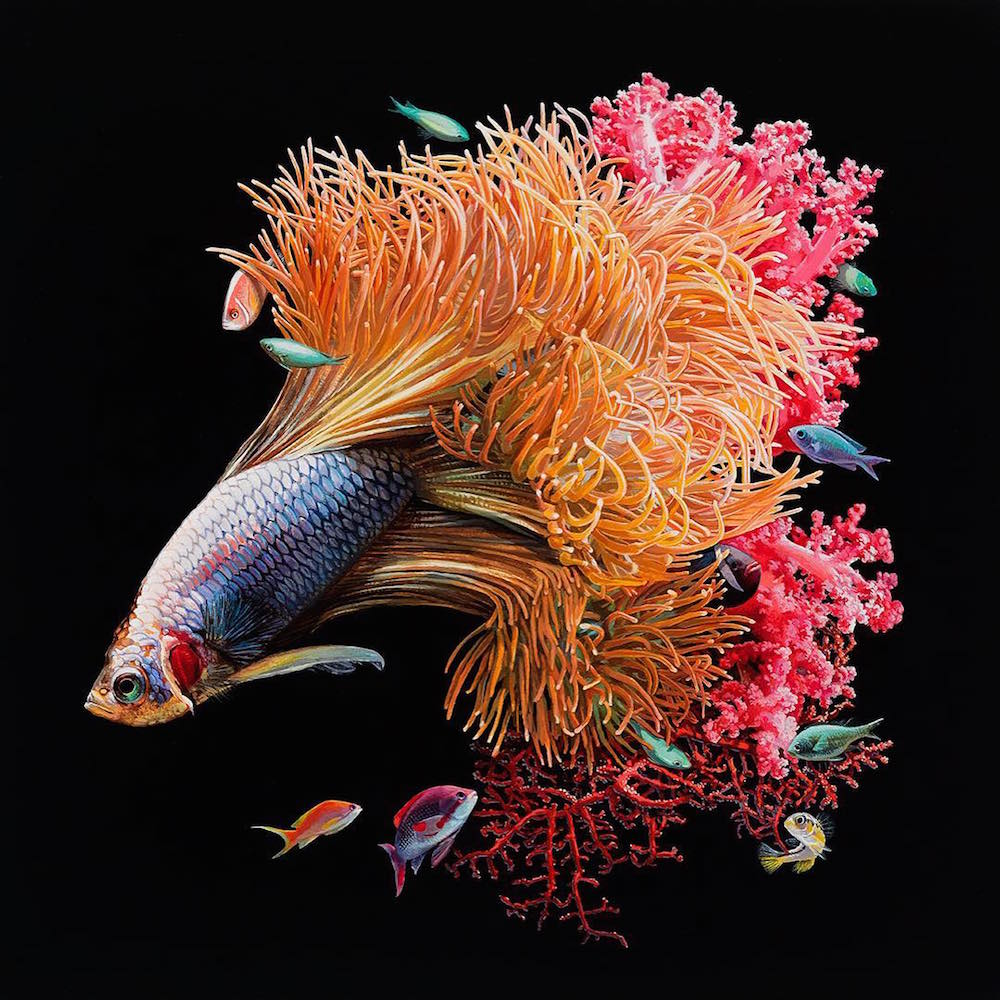 fishpaintings3