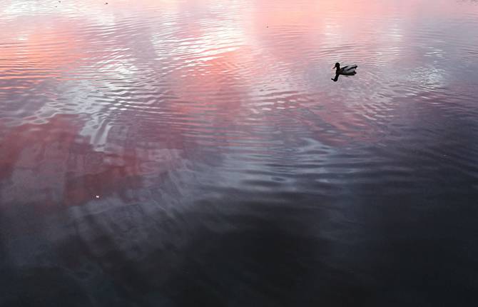 Poetic Pictures by Laëtitia Modine for #DontSnapShoot Contest