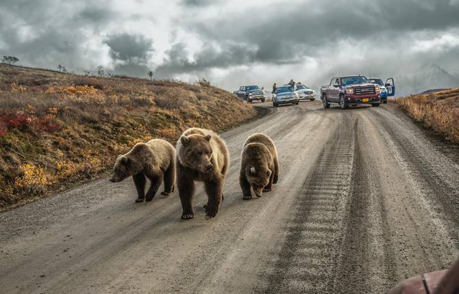 The Most Incredible National Geographic Pictures of 2016