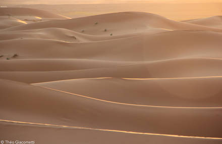 Beautiful Pictures of Nature by Théo Giacometti