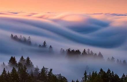 Mystical Fog Waves in San Francisco
