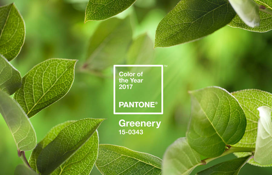 Greenery PANTONE Color of the Year 2017