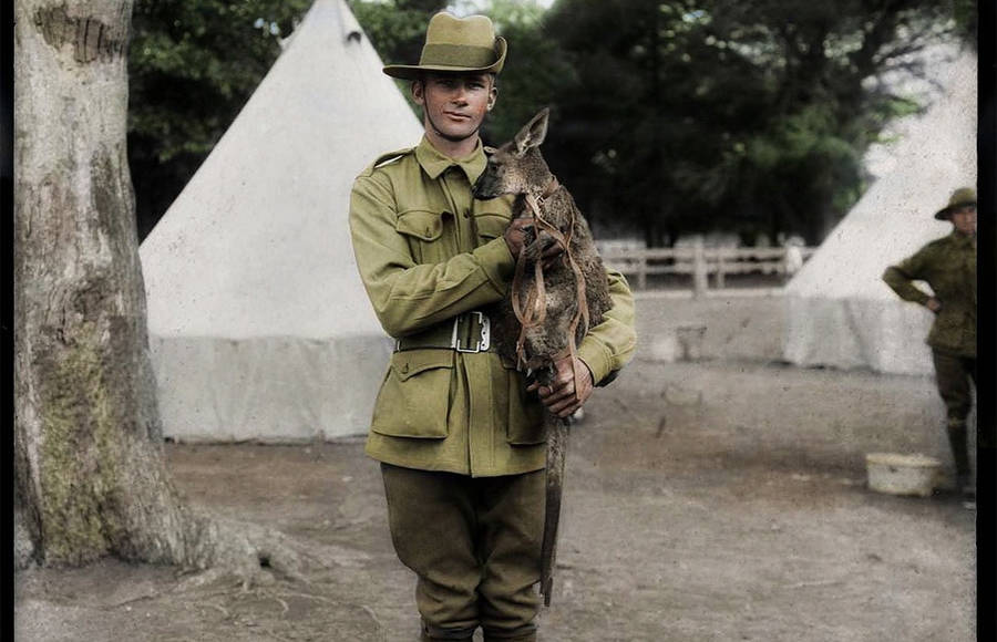 Incredible Soldiers Black and White Pictures Colored and Restored