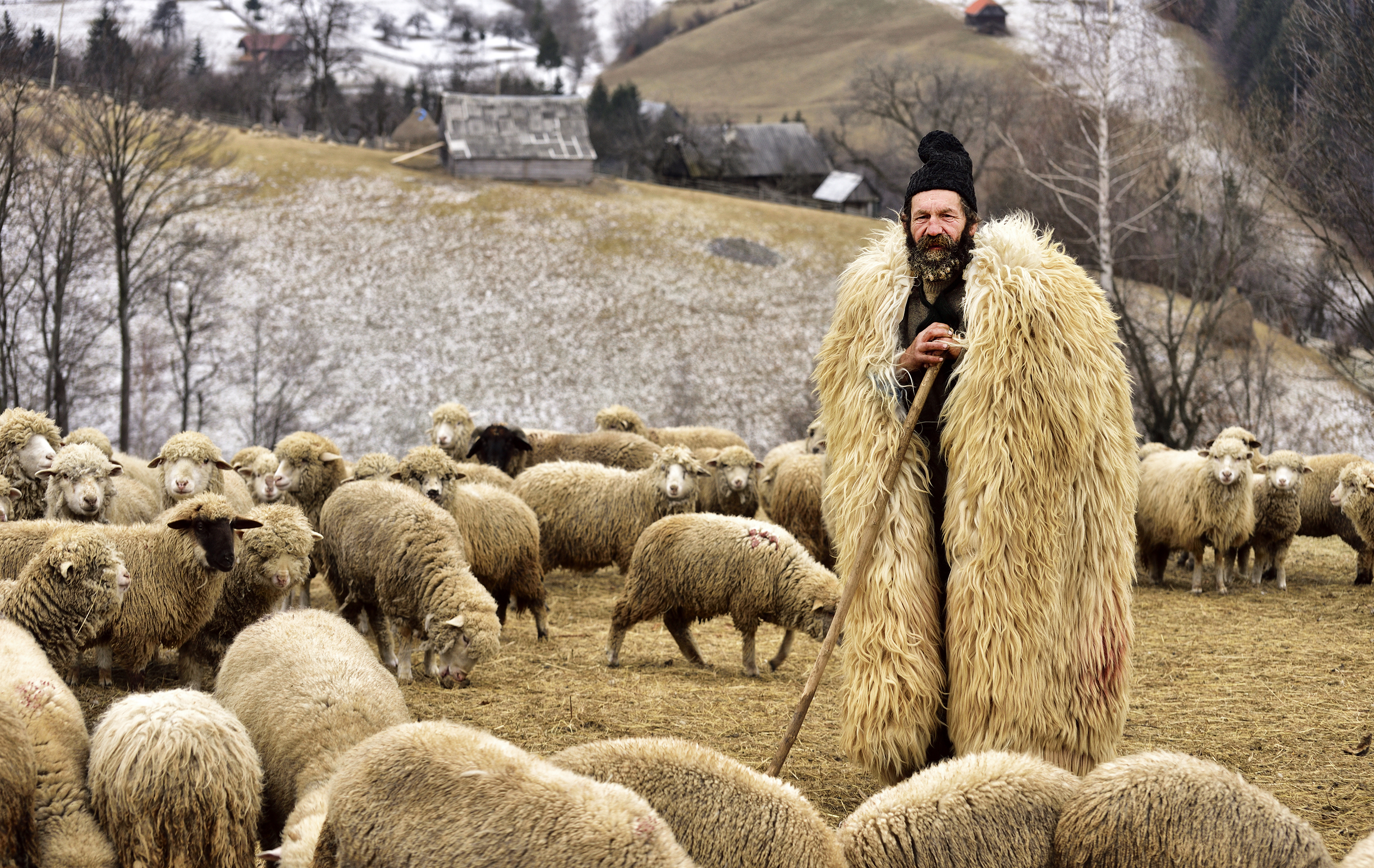 Shepherd from Transilvania