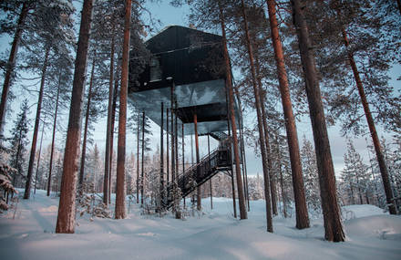 New Treehotel 7th Room by Snøhetta in Sweden
