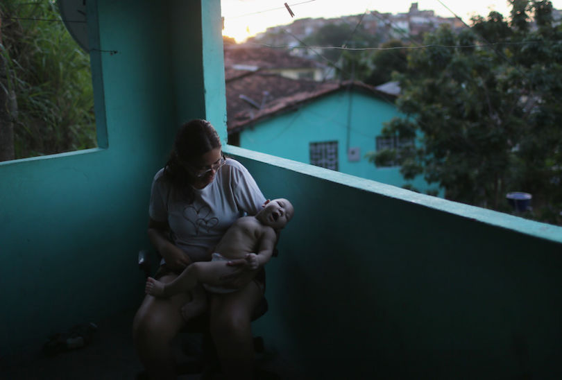 Brazil Faces New Health Epidemic As Mosquito-Borne Zika Virus Spreads Rapidly