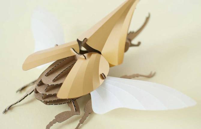 Inventive Paper Beetles Kits