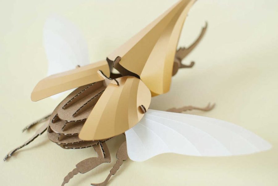 Inventive Paper Beetles Kits-1