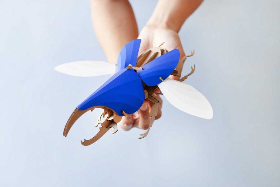Inventive Paper Beetles Kits-10
