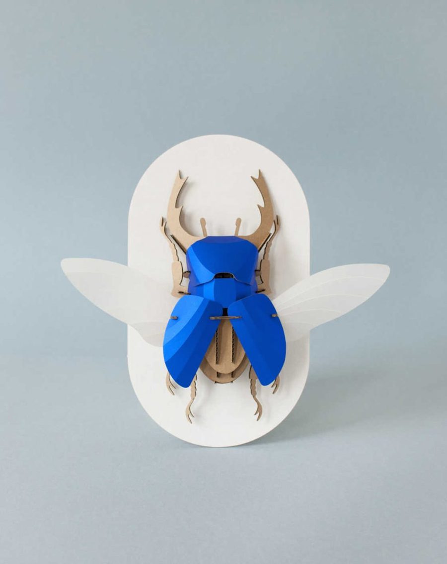 Inventive Paper Beetles Kits-2