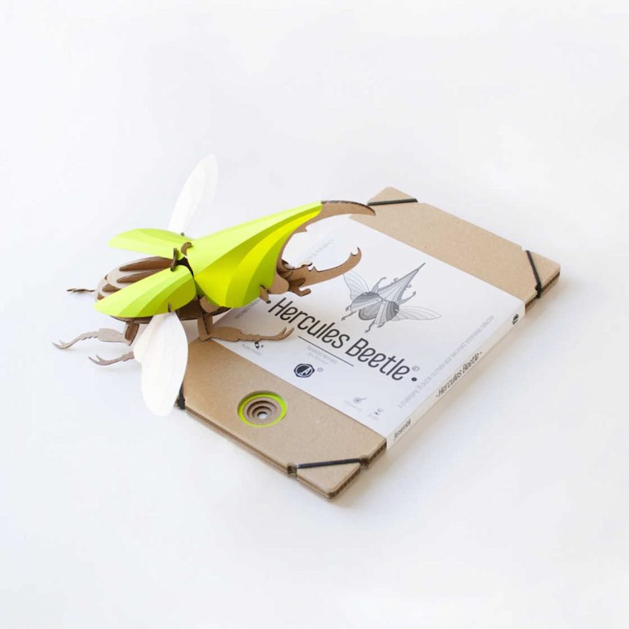 Inventive Paper Beetles Kits-5