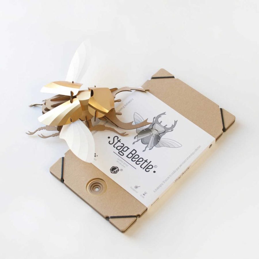 Inventive Paper Beetles Kits-6