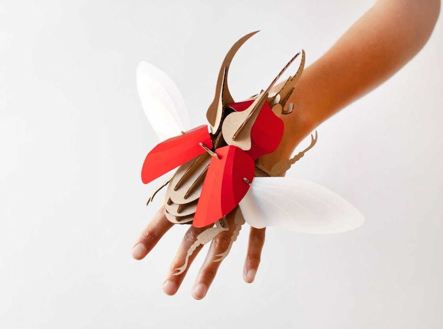 Inventive Paper Beetles Kits-8