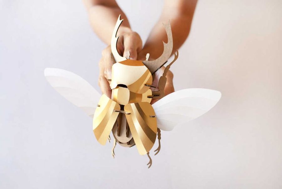 Inventive Paper Beetles Kits-9