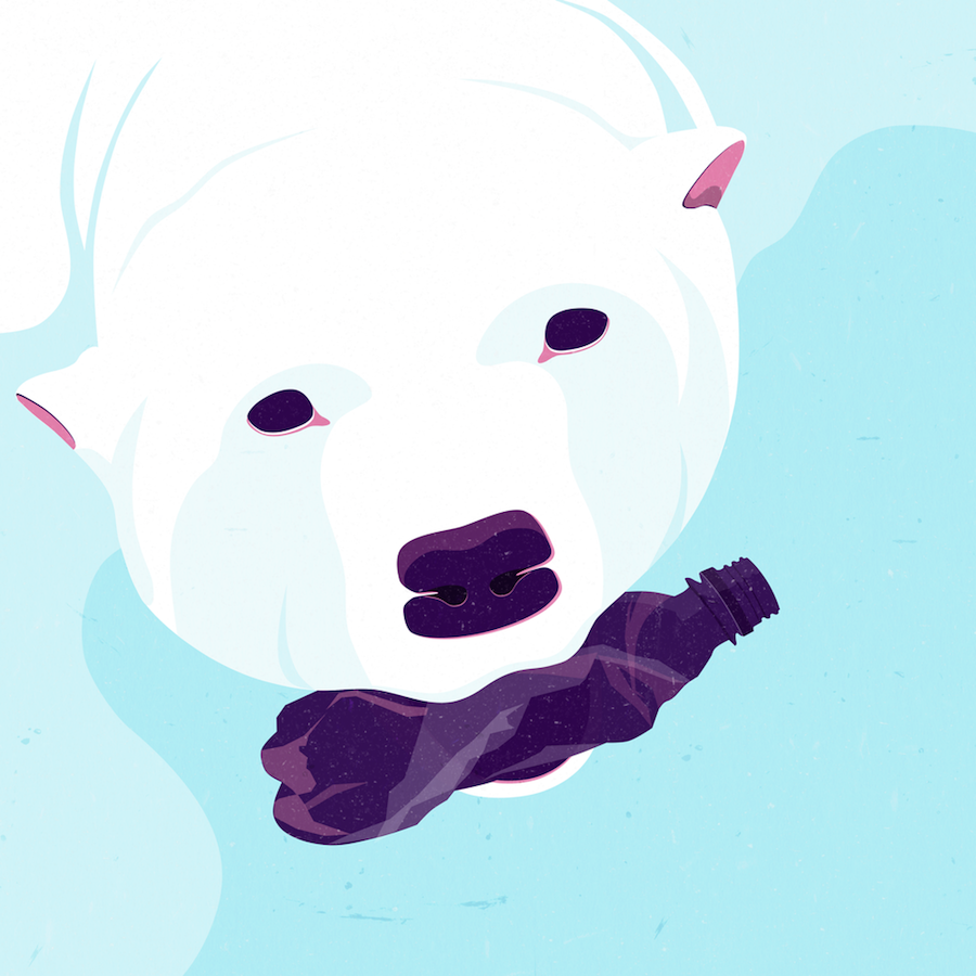 Polar+Bear