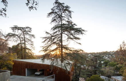 Superb Wooden House Built Around a Cypress Tree in LA