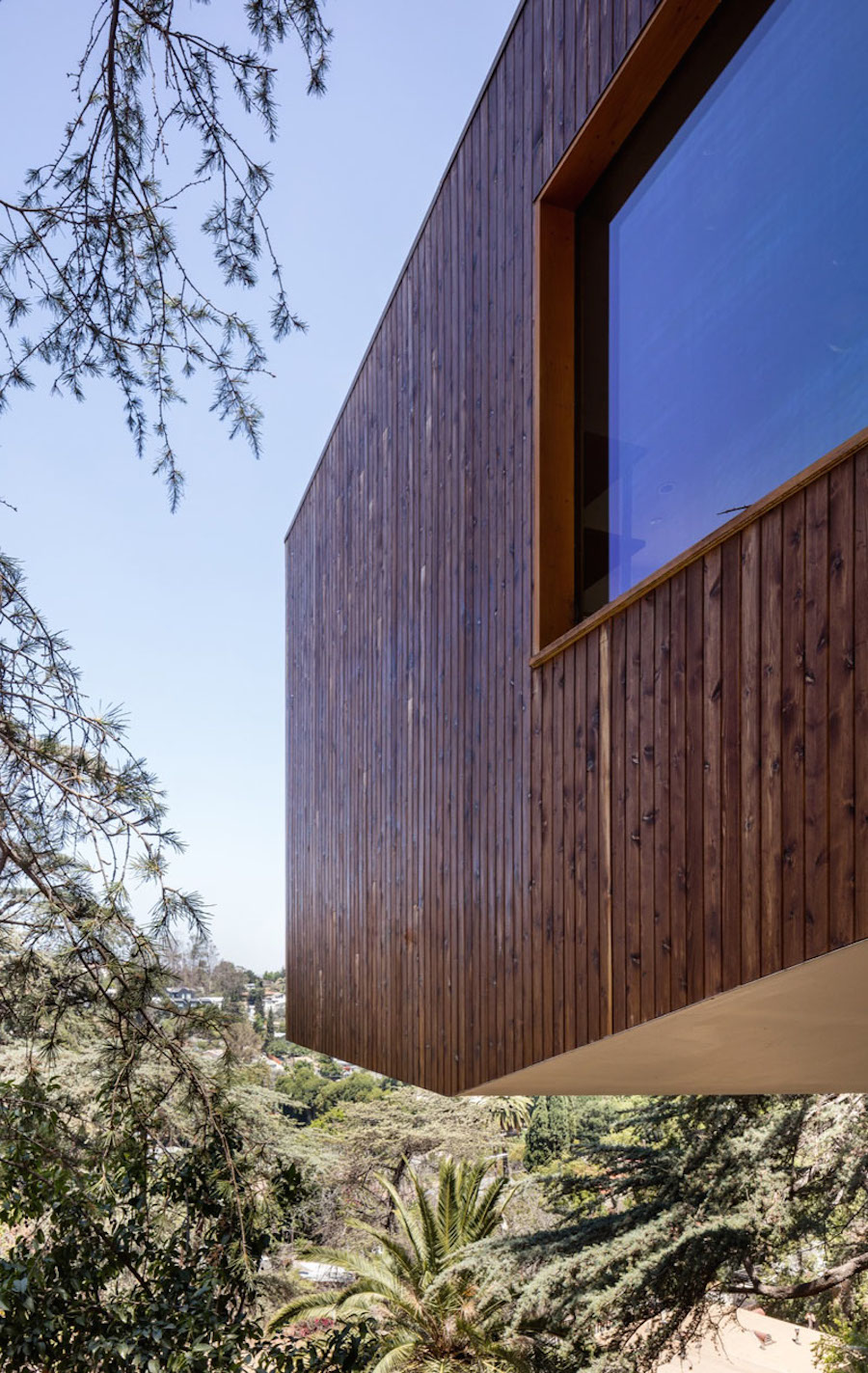 Superb Wooden House Built Around a Cypress Tree in LA-2