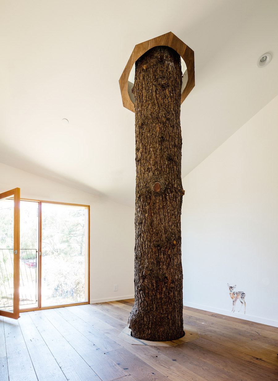Superb Wooden House Built Around a Cypress Tree in LA-3