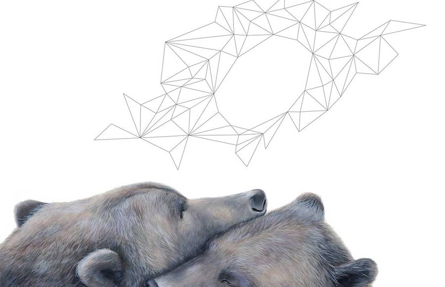 Artistic Drawings of Animals Combined with Geometric Forms