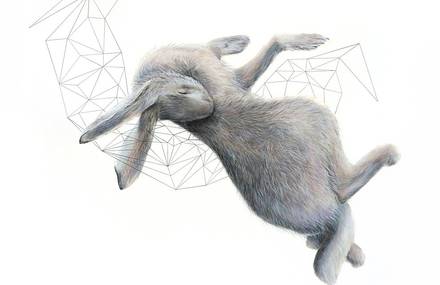 Artistic Drawings of Animals Combined with Geometric Forms