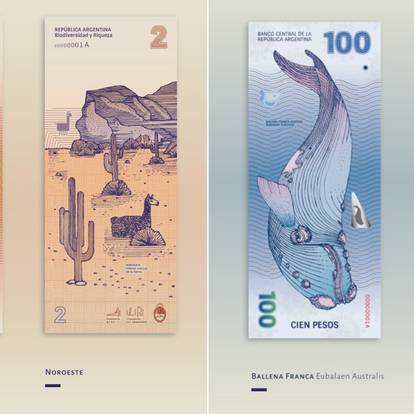 Beautiful Redesign of the Argentinean Bills