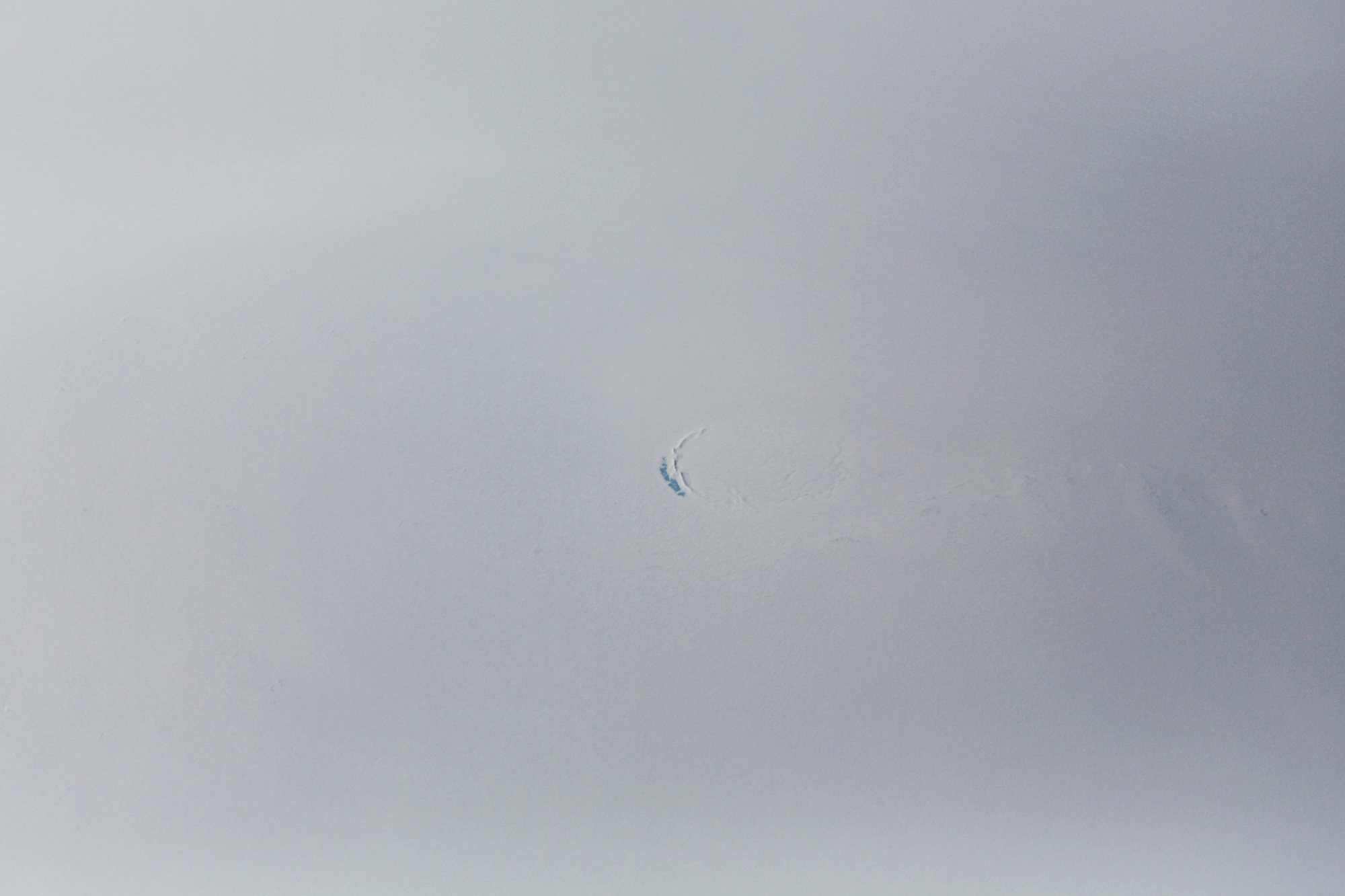 greenlandranaudk1