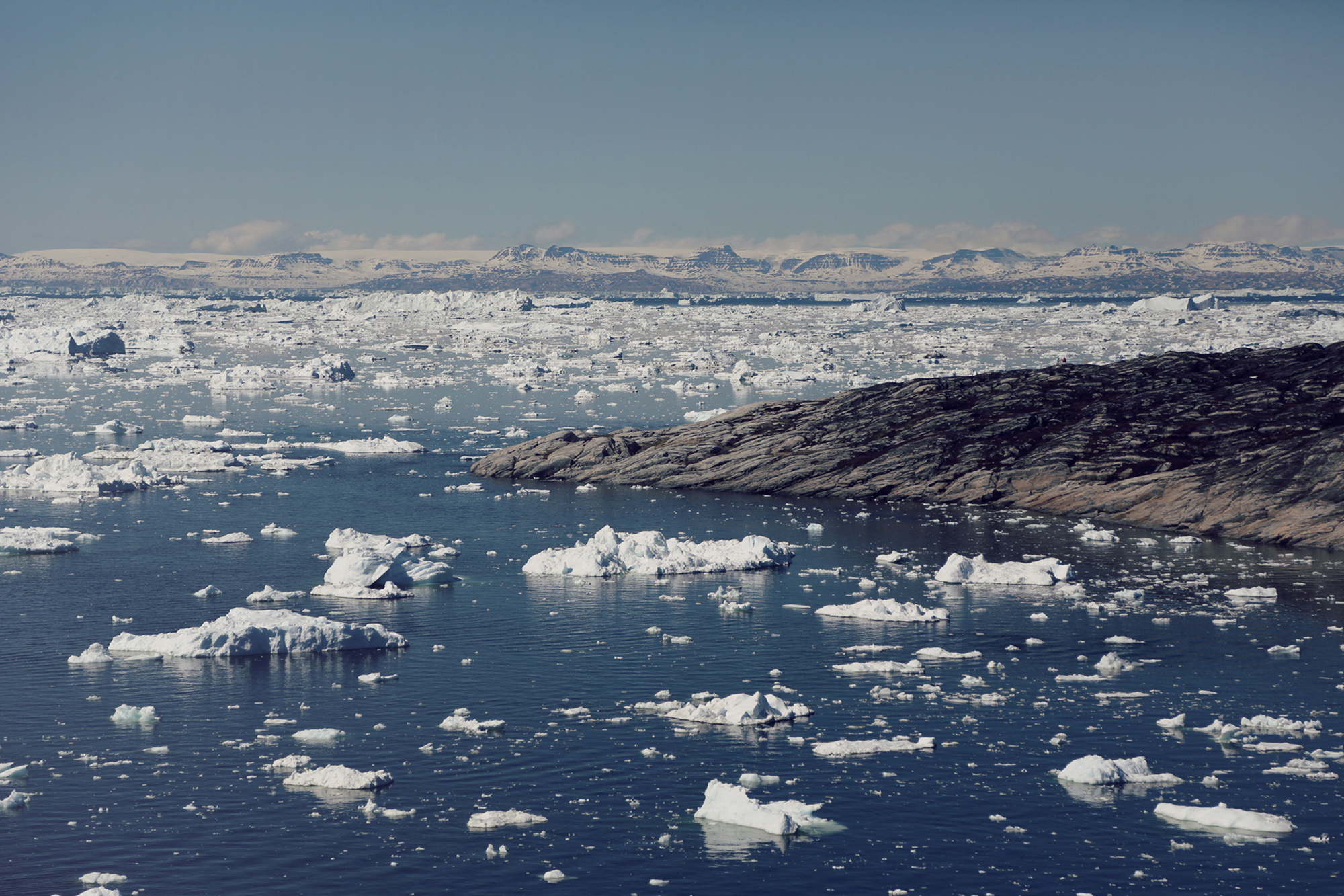 greenlandranaudk9