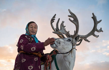 Discovering the Culture of Nomads of Mongolia in Winter