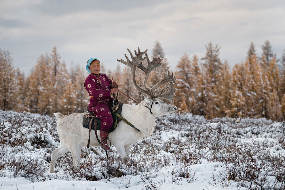 nomadsmongolia11