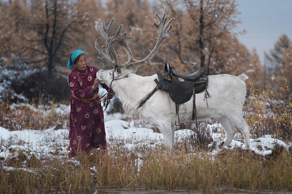 nomadsmongolia5