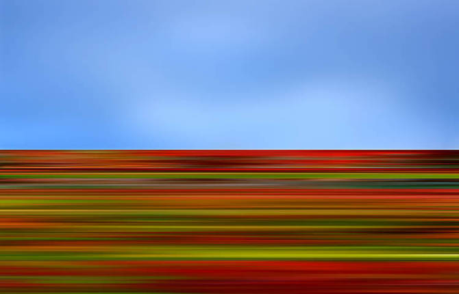 American Abstract Landscapes by Danae Falliers