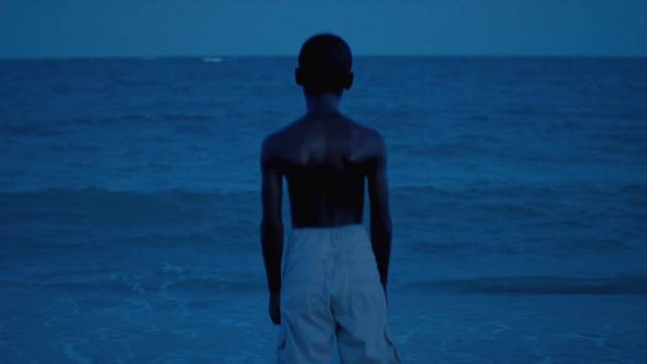 Nominated Films for Best Cinematography at the Oscars 2017 in One Minute