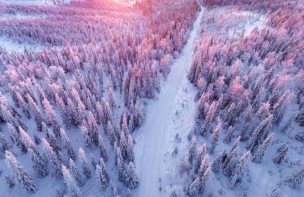 Gorgeous Aerial Pictures of a Snowy Forest in Finland