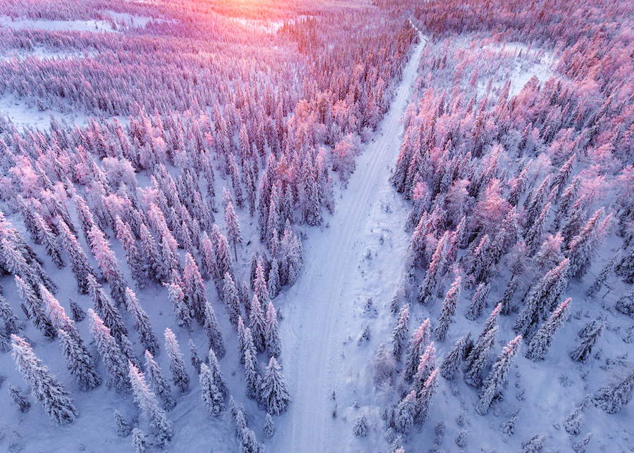 Gorgeous Aerial Pictures of a Snowy Forest in Finland-0