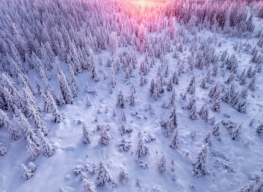 Gorgeous Aerial Pictures of a Snowy Forest in Finland-3