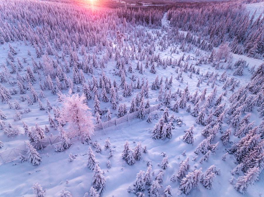 Gorgeous Aerial Pictures of a Snowy Forest in Finland-4