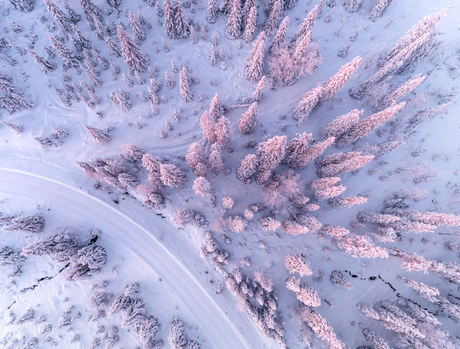 Gorgeous Aerial Pictures of a Snowy Forest in Finland-5