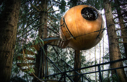 Gorgeous Spherical Tree-House Hotel in Canada