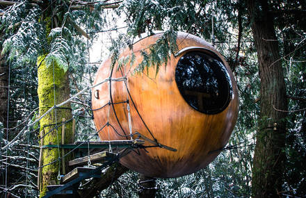 Gorgeous Spherical Tree-House Hotel in Canada