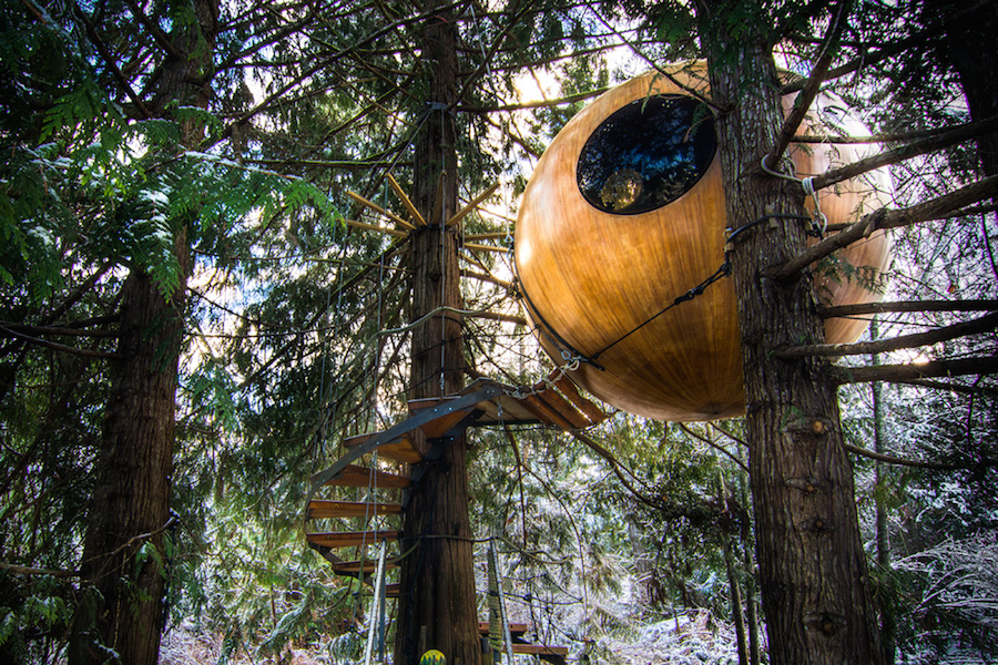 Gorgeous Spherical Tree-House Hotel in Canada-4