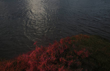 Sumptuous Landscape After a Volcanic Eruption