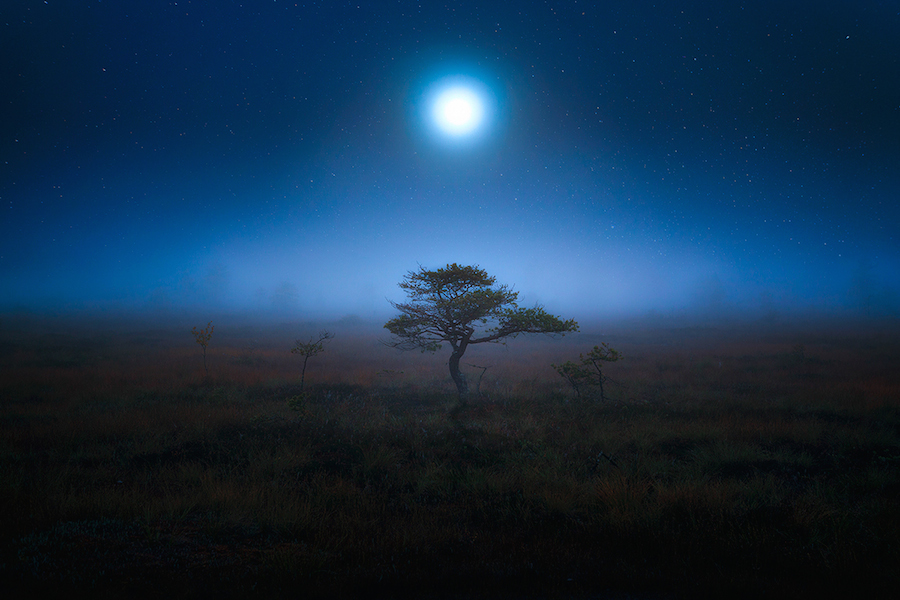 Incredible Full Moon Photo Series by Mike Suutari-4