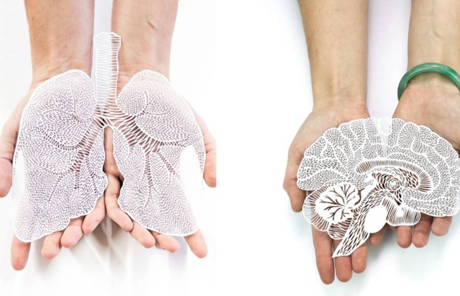 Incredibly Accurate Papercuts of Organs