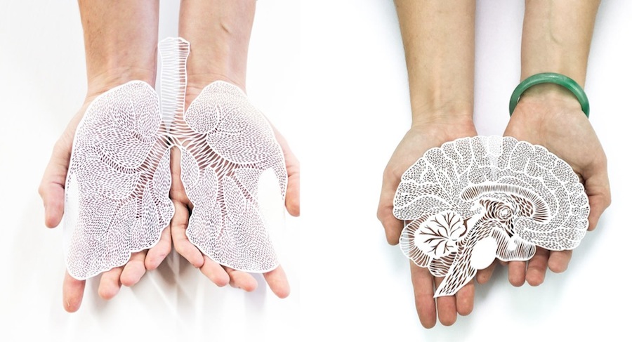 Incredibly Accurate Papercuts of Organs-0